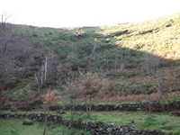 nte Mojo-30122011 043